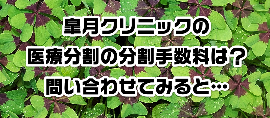 皐月クリニックの医療分割の分割手数料は?問い合わせてみると…